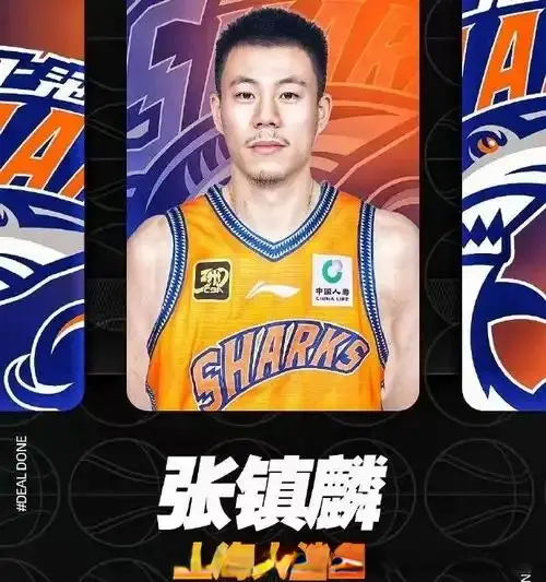 感到惊喜的, 还要大, 并不过分